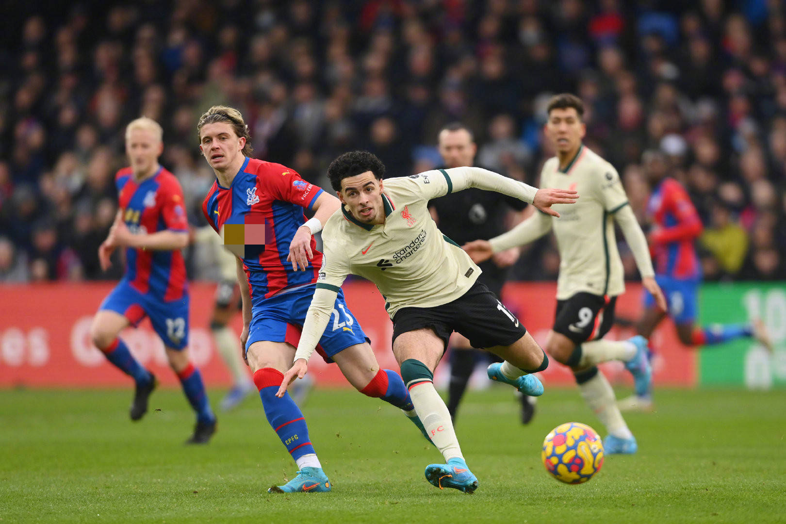 也是职业体 也是职业体